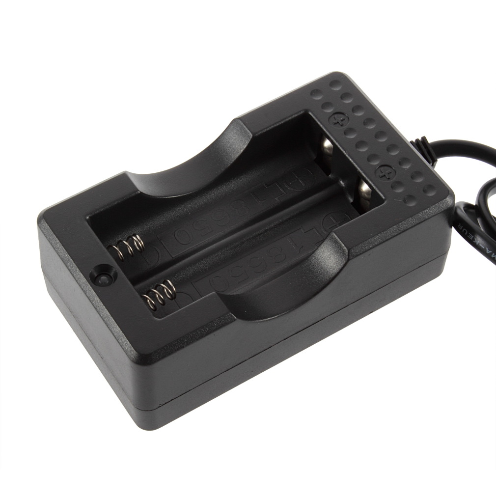 Chargeur double sortie 18650 standard européen avec câble 50cm